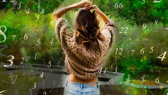 Read your free weekly numerology predictions on hindustantimes.com. Find out what the planets have predicted for these numbers from 26th February to 3rd March, 2024.(shutterstock)