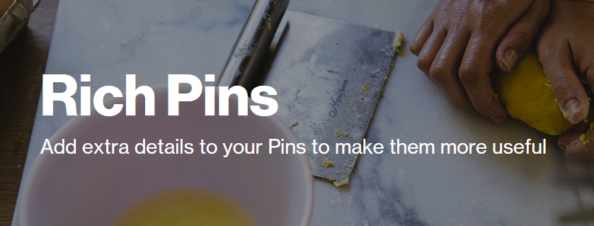 The Rich Pins page header.