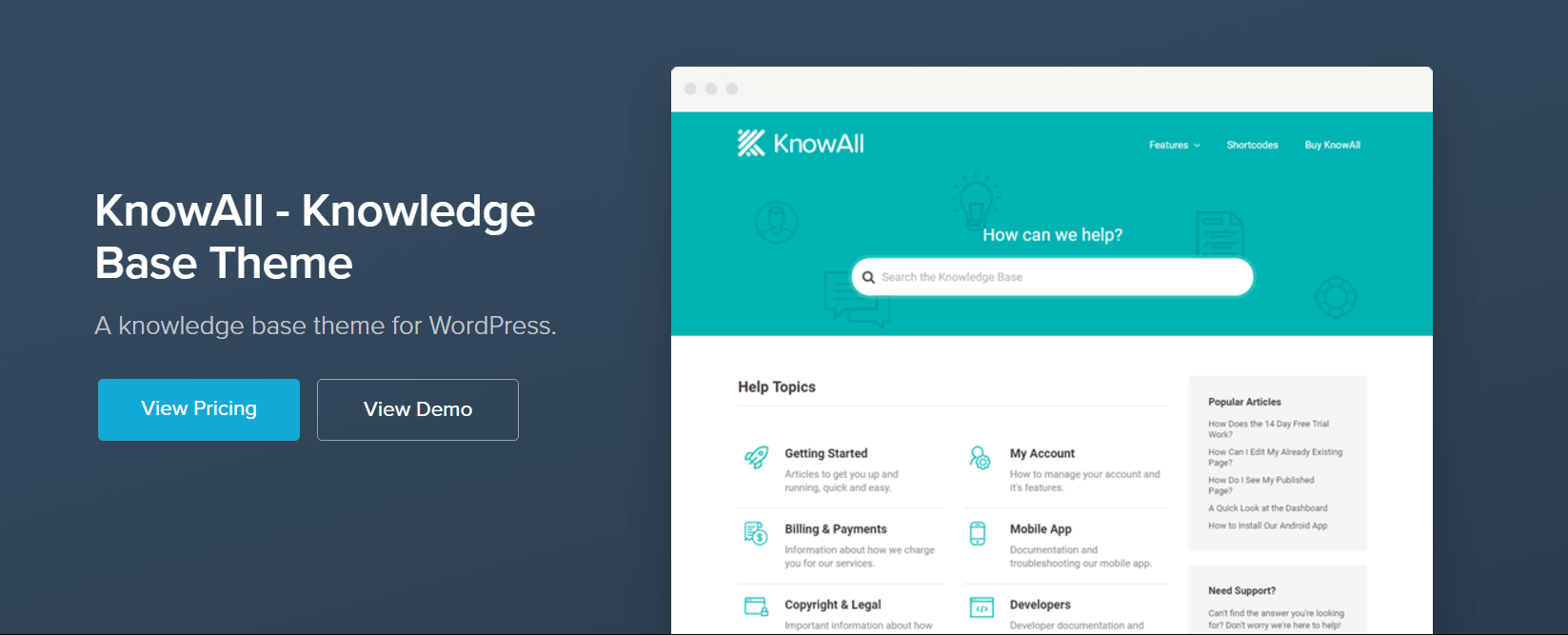 The WordPress KnowAll theme