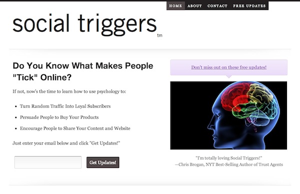 A screenshot of the Social Triggers homepage.