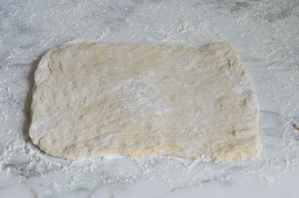 Rectangle of dough on a countertop.
