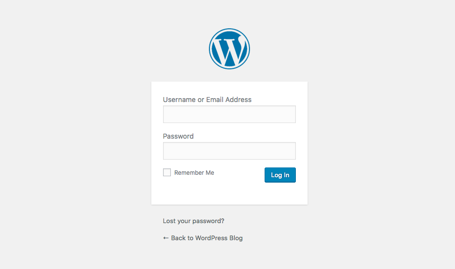 Main WordPress Login Form