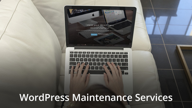 Offer WordPress Maintenance