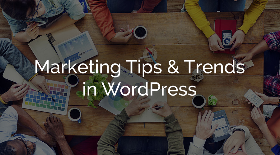 WordPress Marketing Tips & Trends