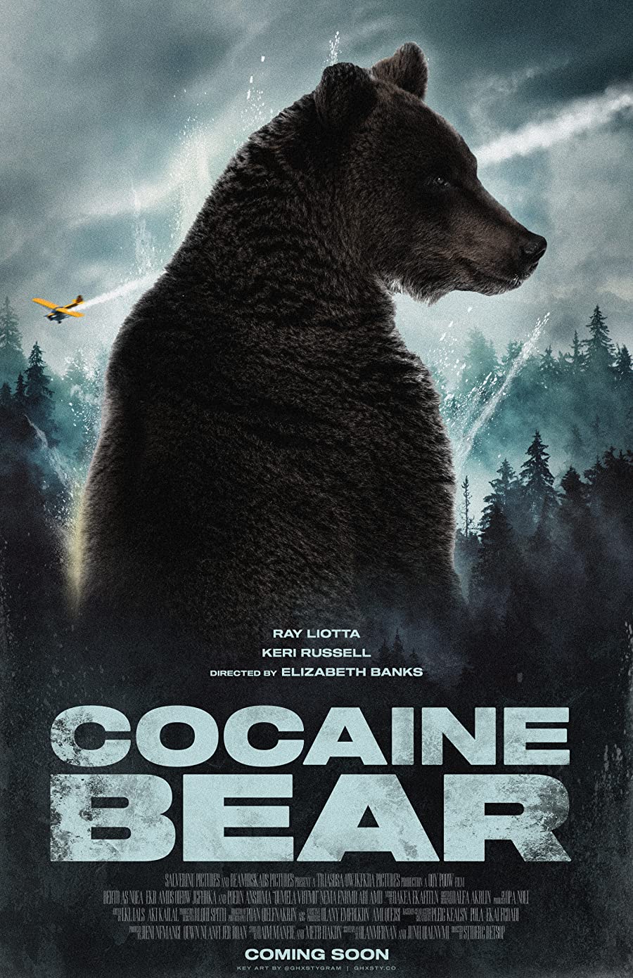 خرس کوکائینی