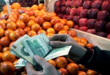 قیمت تنظیم بازار پرتقال هرکیلو ۱۶.۹۰۰ و سیب ۲۶هزار تومان است