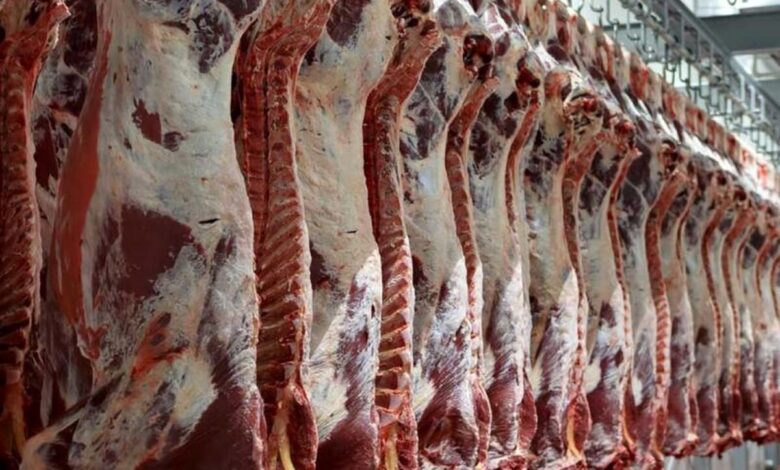 قیمت گوشت را به زیر ۳۰۰ هزار تومان می رسانیم