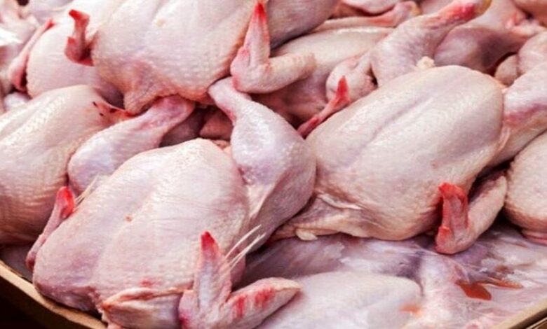 میانگین ۶۰ هزارتومانی قیمت گوشت مرغ / واردات ادامه دار گوشت قرمز