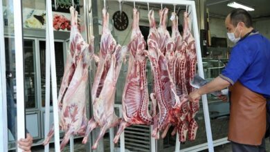 پیش‌بینی کاهش قیمت با ورود ۲۵۰ هزار تن گوشت قرمز