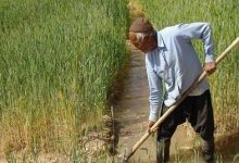 وزیر بدون نظر کشاورزان نمی تواند برای فعالیت آن ها فرمان صادر کند