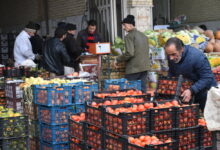 پرتقال تامسون ارزان ترین میوه بازار کشور+ جدول قیمت ها