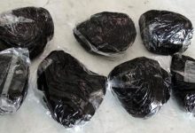 شناسایی ۲ شبکه قاچاق موادمخدر در غرب تهران/۹۰۸ کیلو تریاک کشف شد