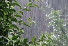 پیش‌بینی بارش رگبار باران و تگرگ در البرز
