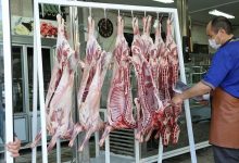 بازار گوشت قرمز به حال خود رها شده است