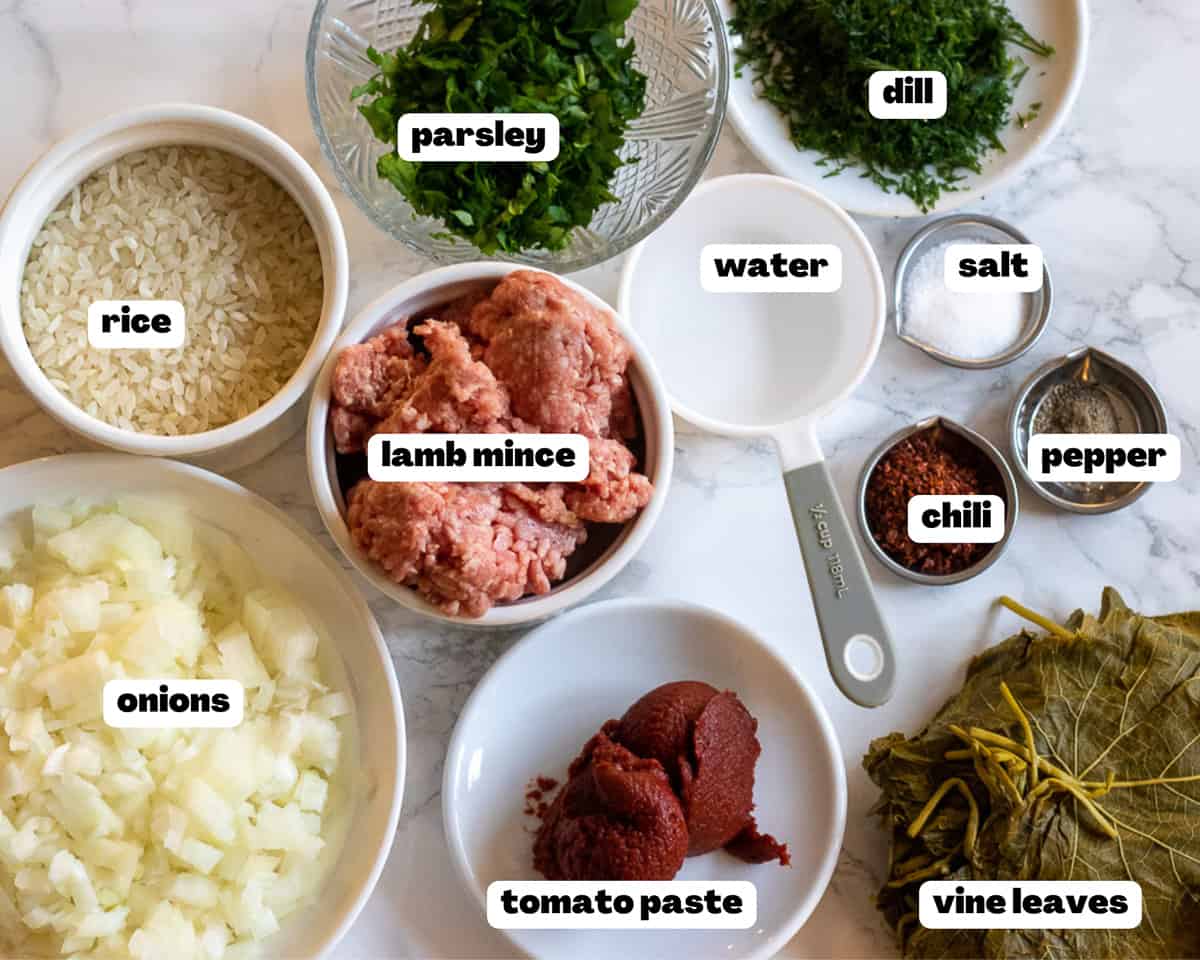 Labelled picture of ingredients for meat stuffed grape leaves
