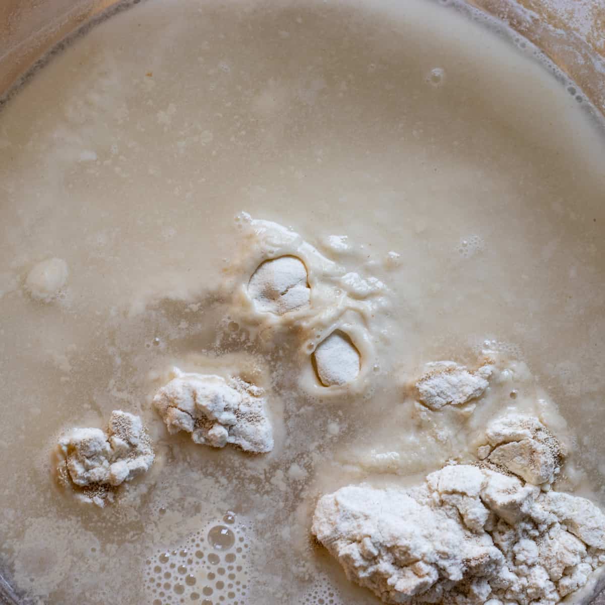flour, water, yeast in a bowl