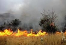 خسارت ۲۴ میلیارد ریالی آتش‌سوزی به مزارع گندم و جو خرم‌آباد