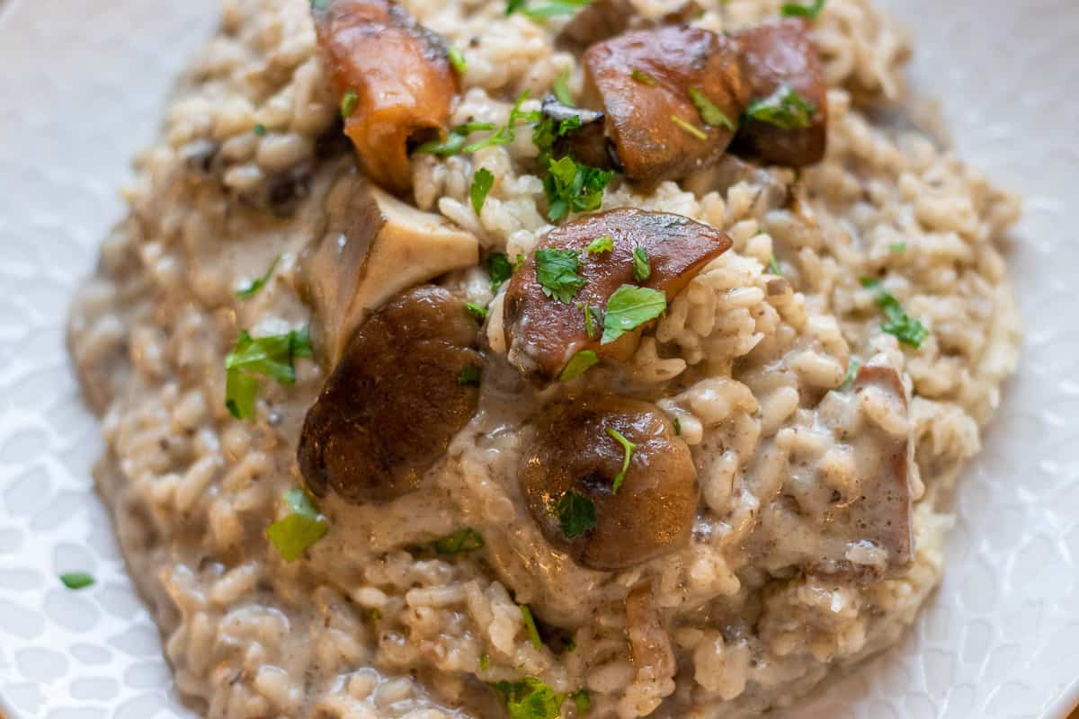 wild mushroom risotto garnished with chopped parsley