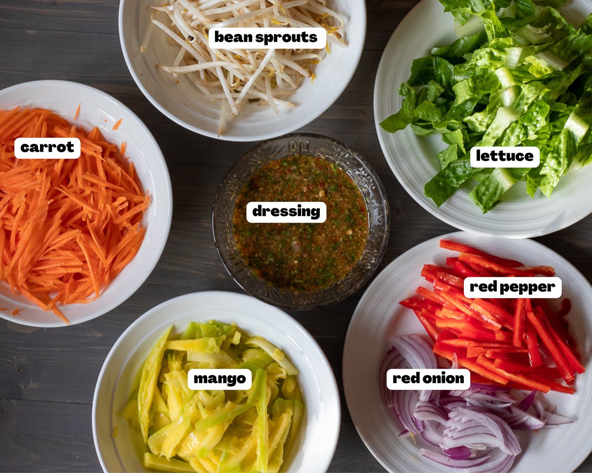 Labelled picture of ingredients for Thai Mango Salad