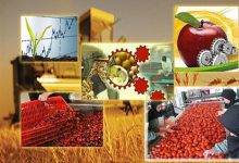 صنایع تبدیلی بخش کشاورزی آذربایجان غربی باید نوسازی شود
