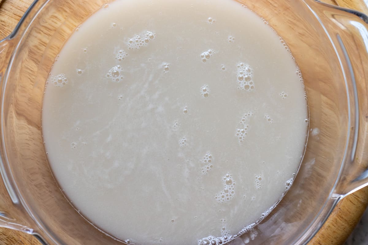 Water, sugar and yeast mixed in a bowl