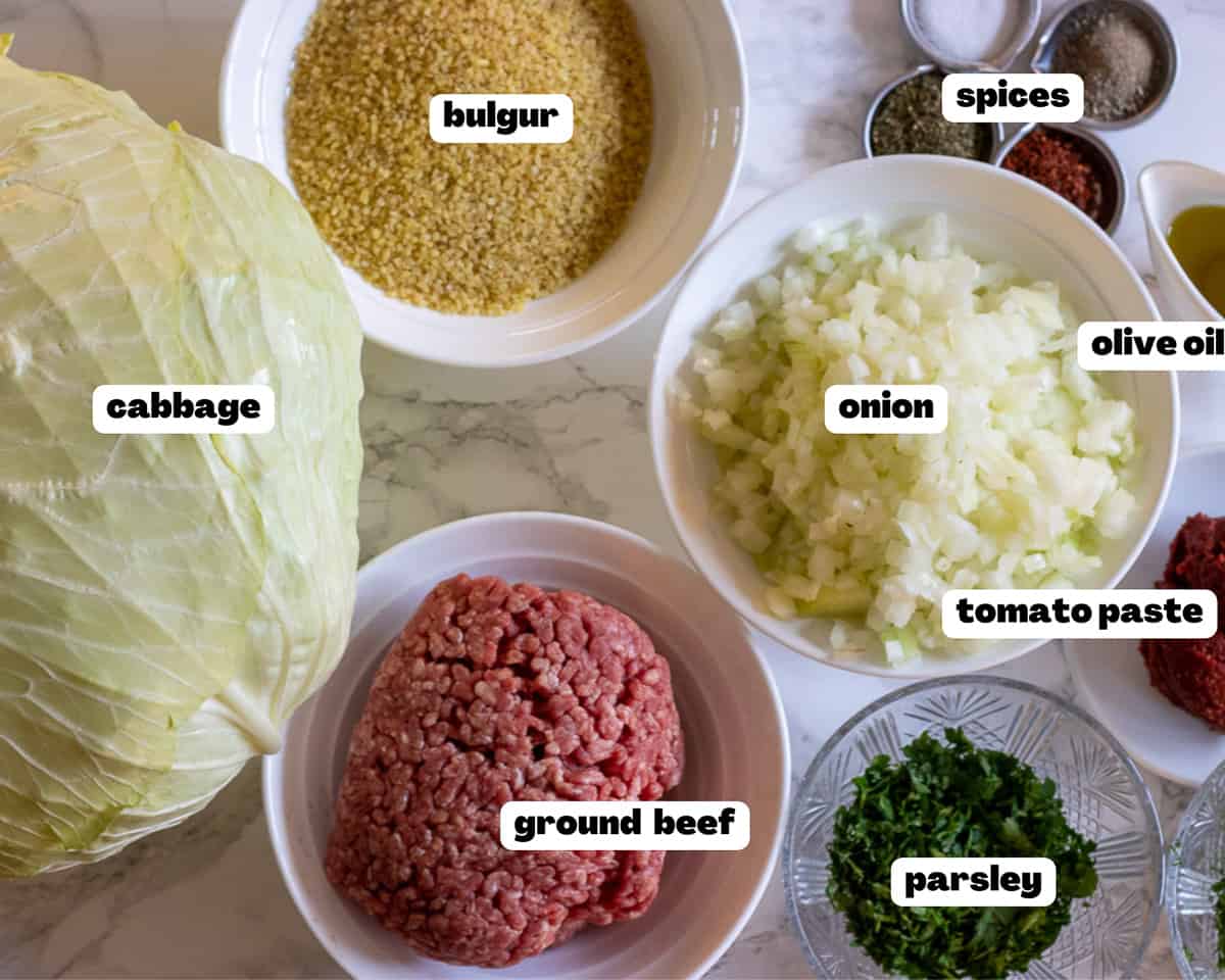Labelled picture of ingredients for Lahana sarmasi