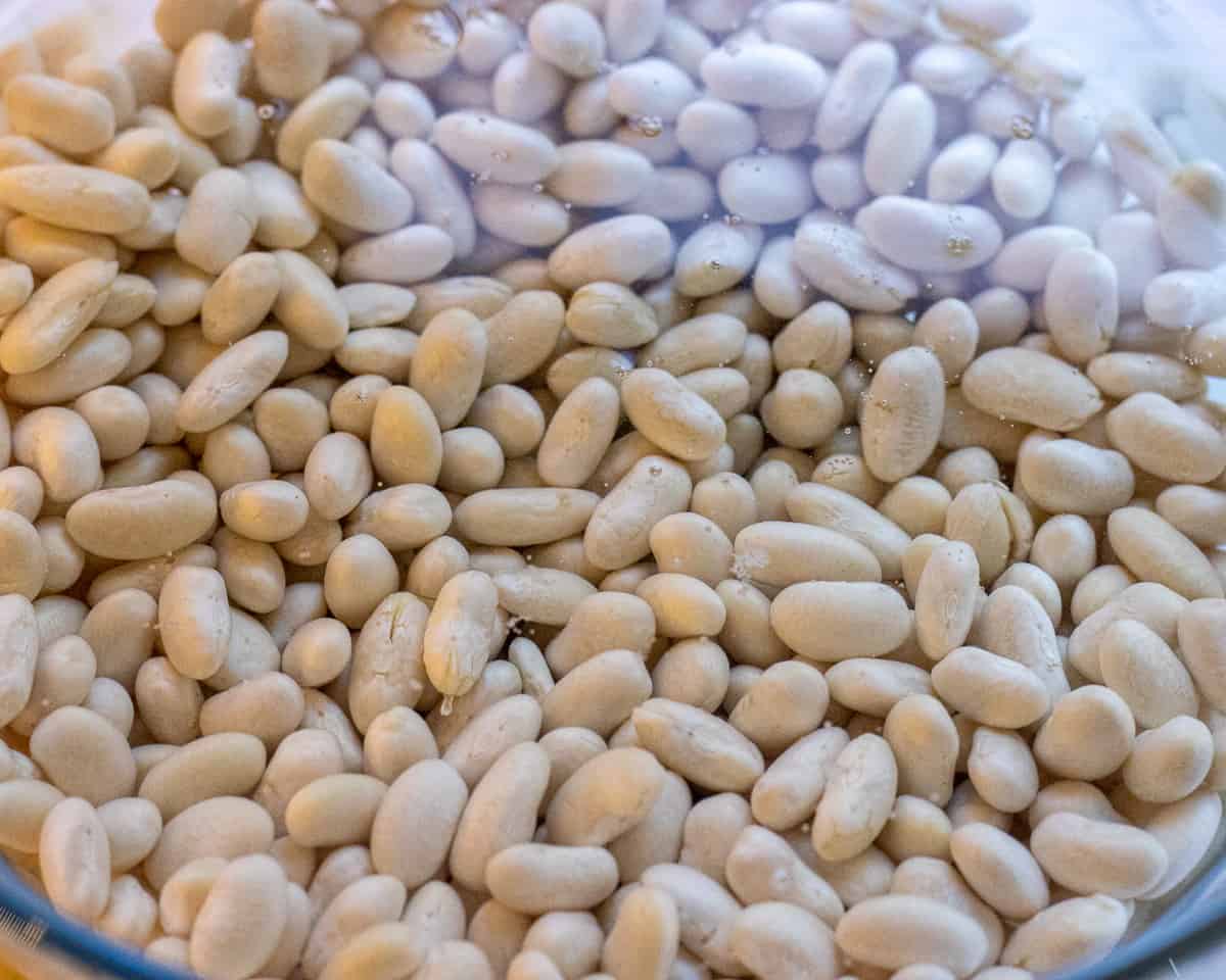 White beans soaked in water overnight.