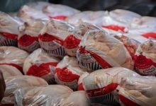کمبودی در زمینه تامین گوشت مرغ در بازار مشهد وجود ندارد