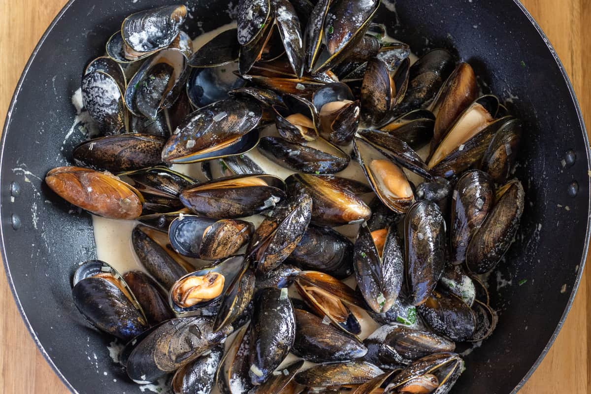 mussels are returned to the pan and tossed in the creamy sauce