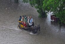 آمار قربانیان باران‌های موسمی در پاکستان به ۴۳ نفر رسید