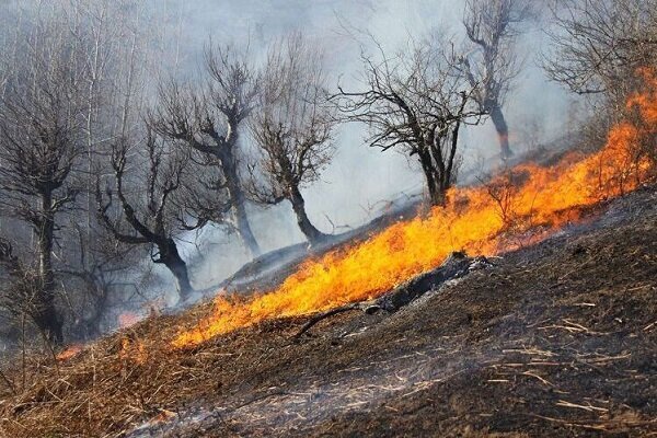احتمال آتش سوزی در جنگل ها افزایش پیدا کرده است