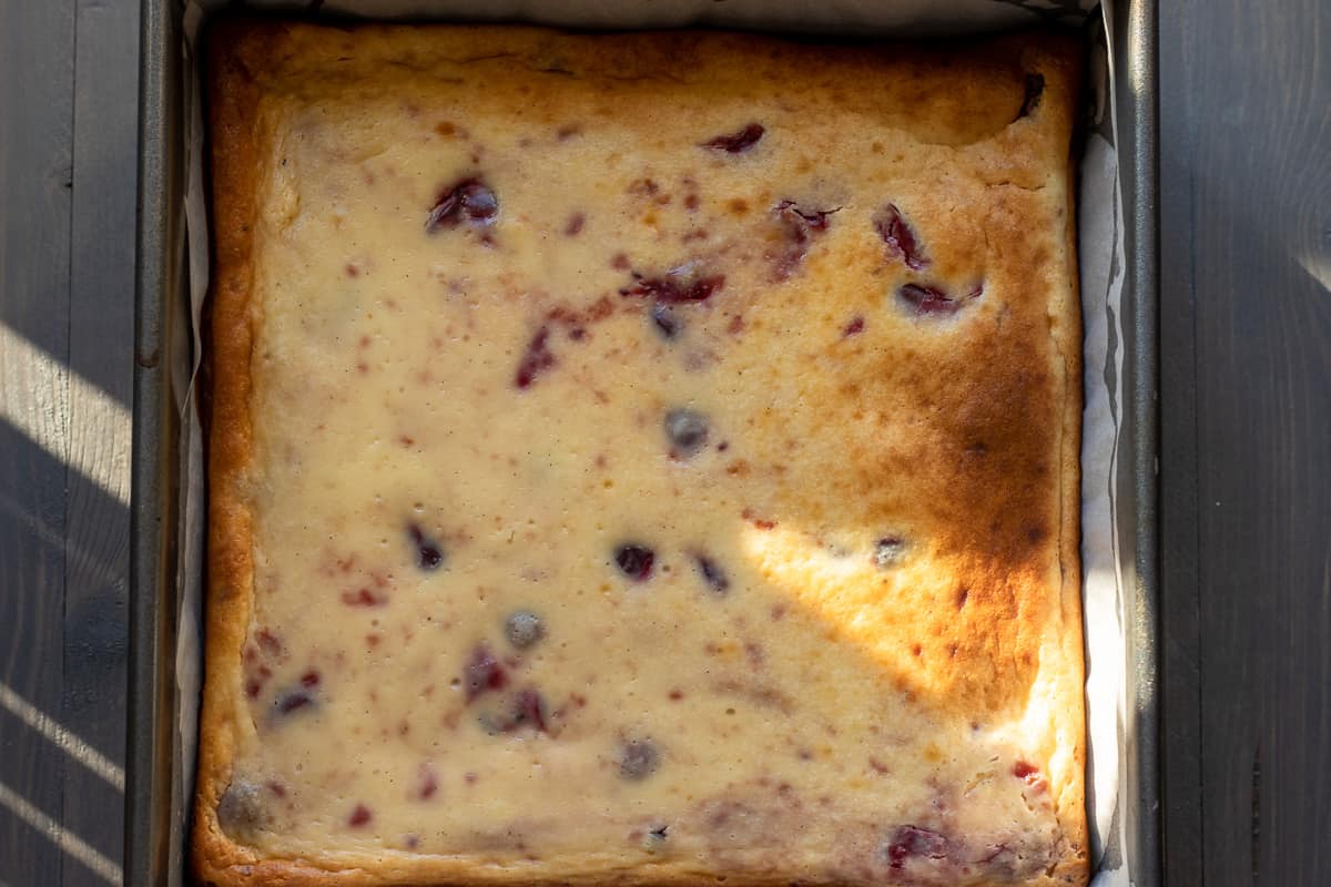 cranberry cheesecake brownie fresh out of the oven