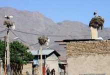 توسعه زیرساخت‌های گردشگری در روستای «لک‌لک‌ها»