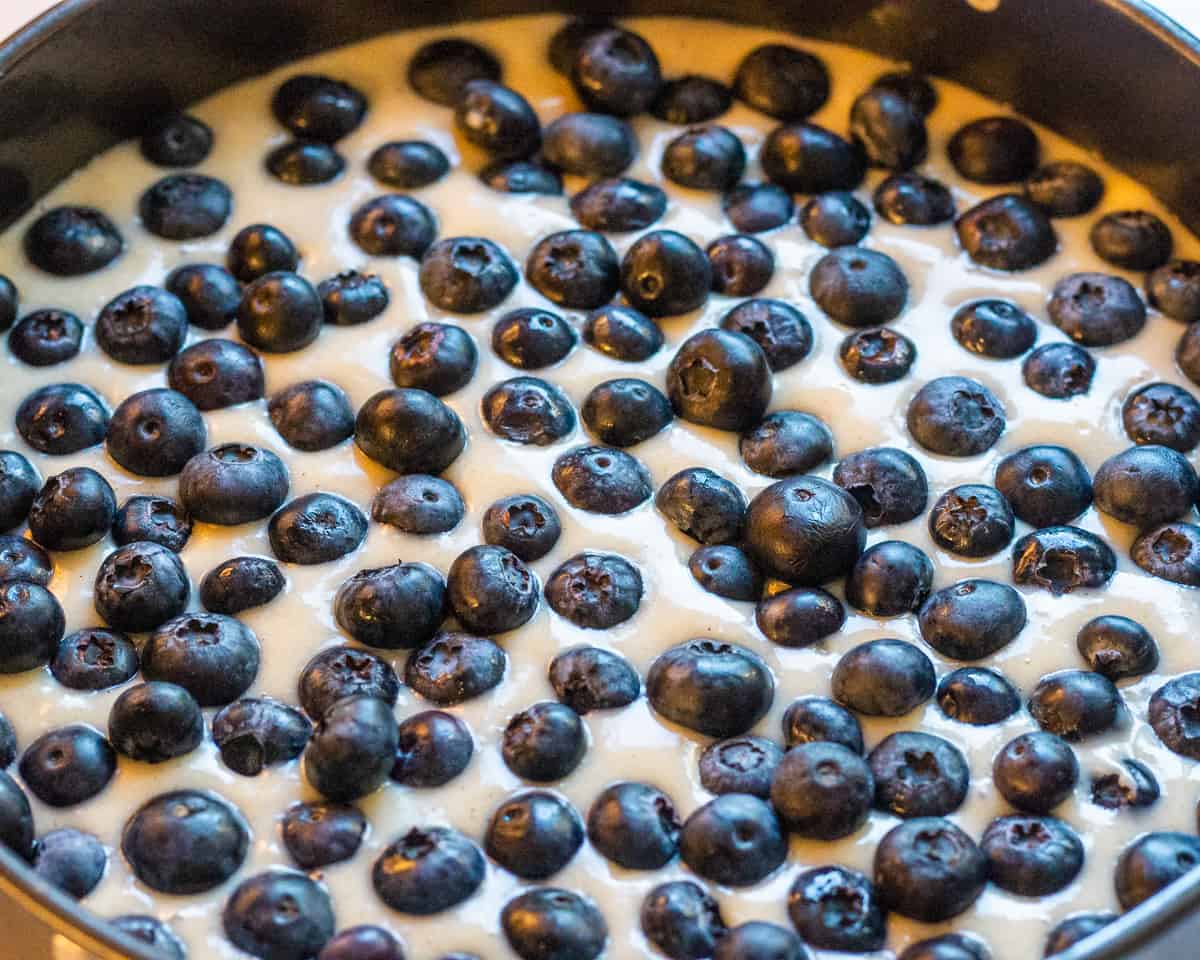 Blueberries are spread over the cake batter