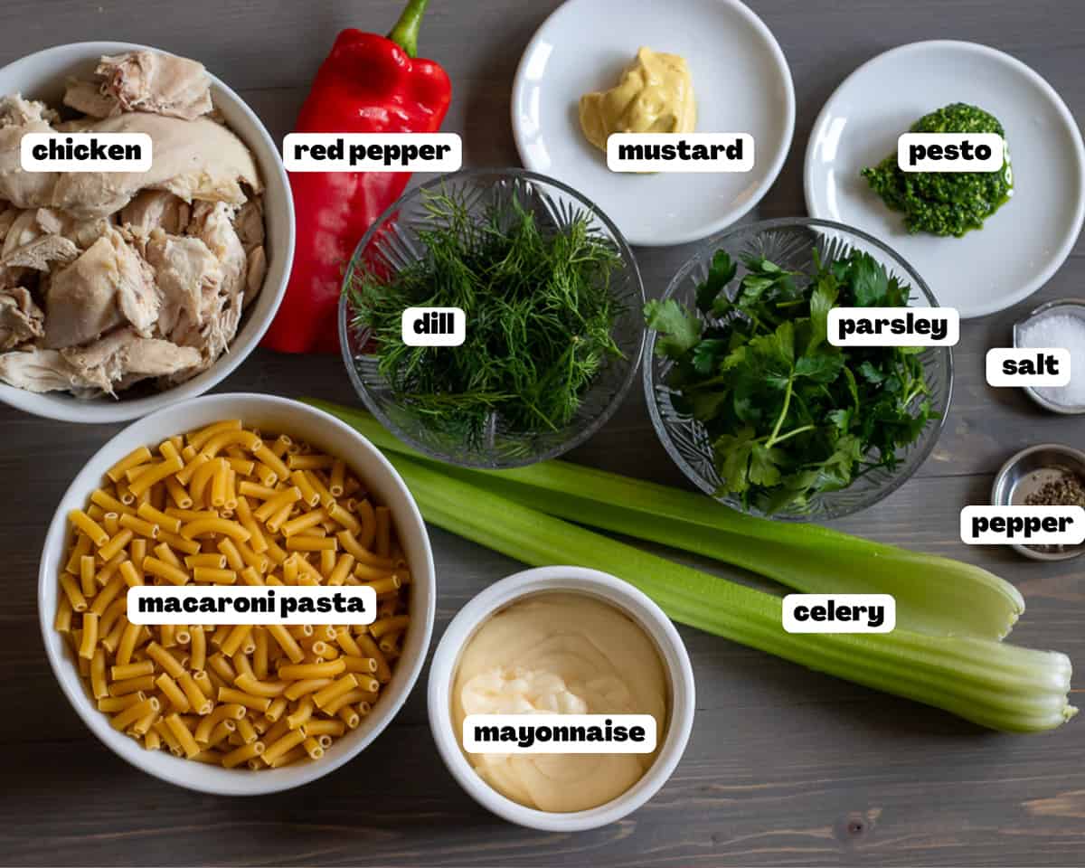 labelled picture of ingredients for chicken macaroni salad