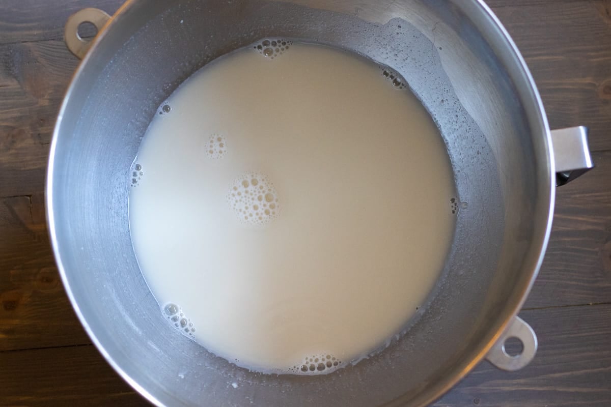 Sourdough starter is mixed with water in a bowl