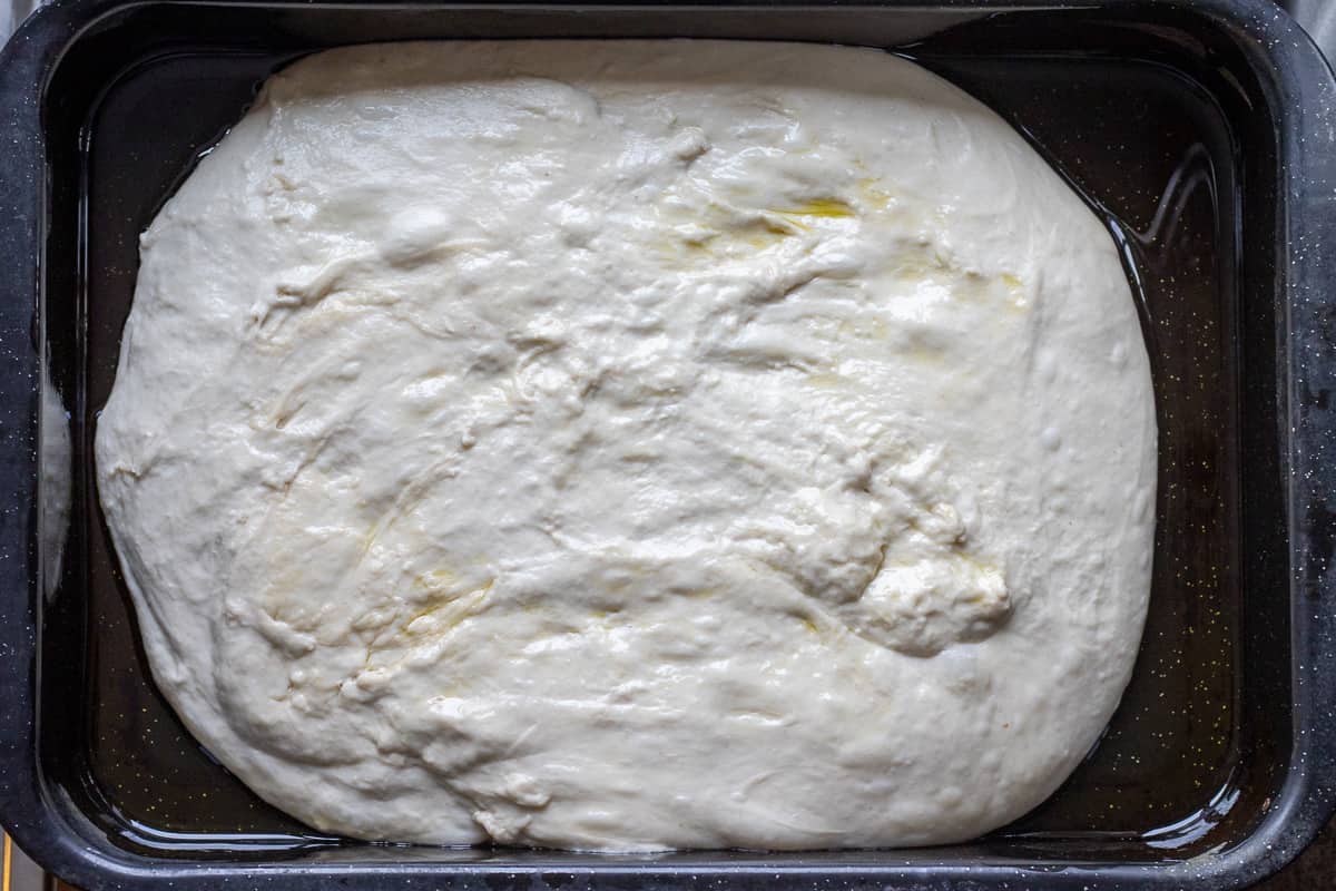 the dough is transferred into a lightly oiled baking pan