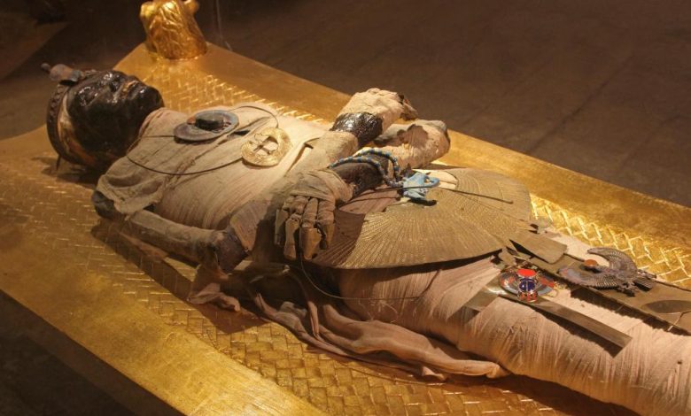موزه مصر چیست؟