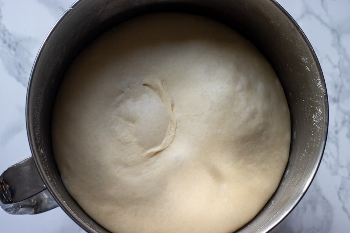 bolillo dough has doubled in size after resting