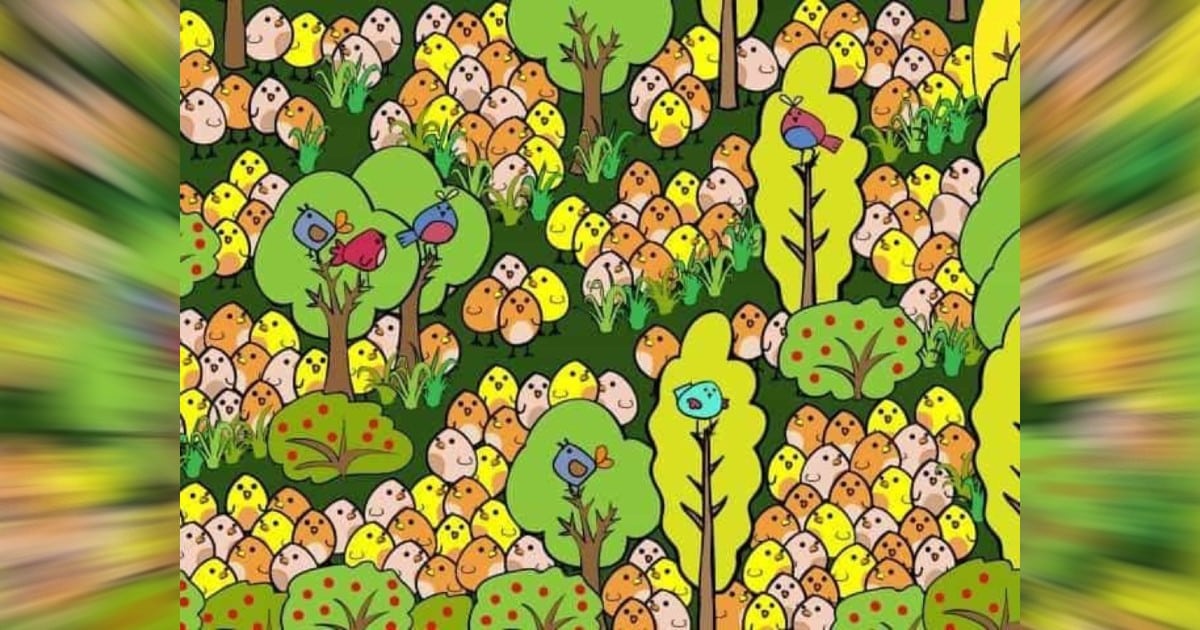آیا می توانید تخم مرغ پنهان شده در تصویر را پیدا کنید؟