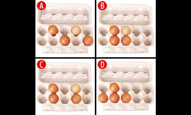 انتخاب ذخیره تخم مرغ شما از قوی ترین ویژگی شخصیتی شما صحبت می کند!
