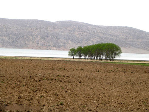 دریاچه ارژن دریاچه ارژن شیراز