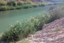 رودخانه قره آغاج فارس