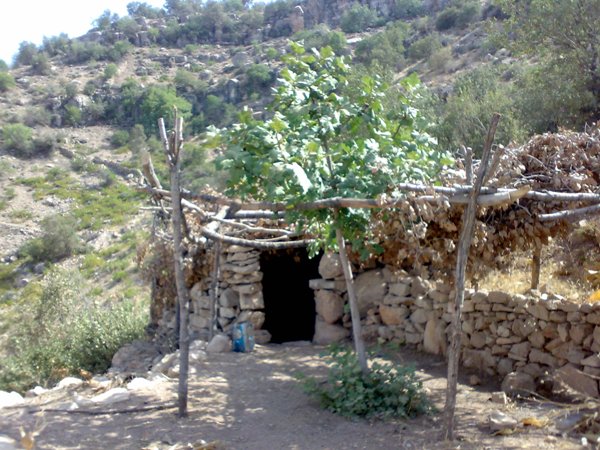 دیل 3 روستای دیل گچساران