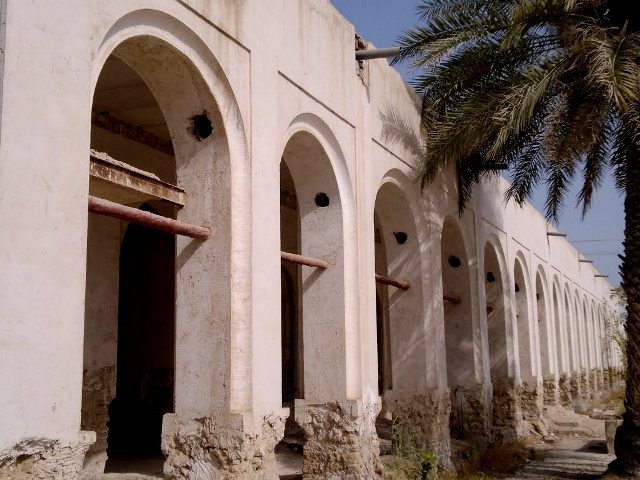 173 مدرسه سعادت بوشهر