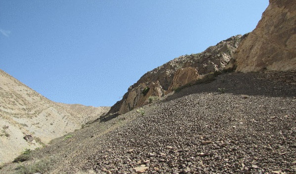 775 منطقه شکار ممنوع کاوه ده و کوه سفید