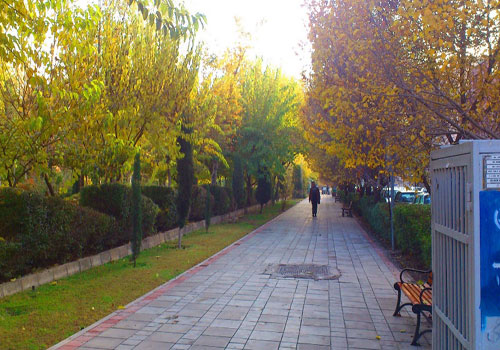 پارک هنرمندان6 10 پارک معروف و دیدنی تهران