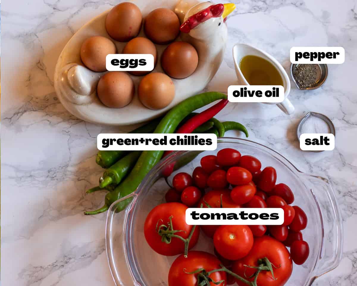 labeled picture of ingredients for menemen - Turkish scrambled eggs 