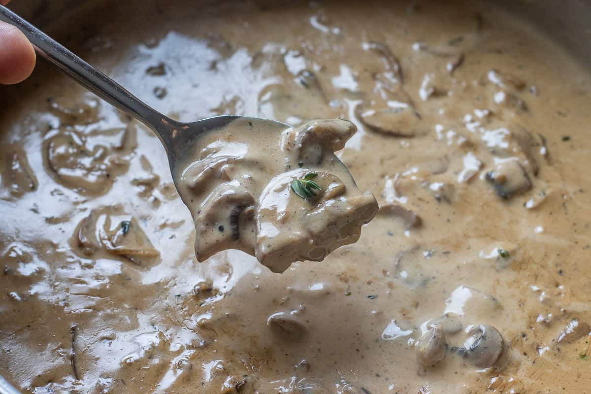 creamy mushroom sauce is ready to be served