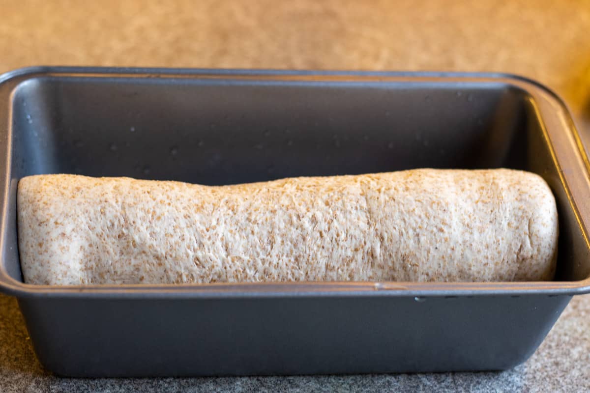 The dough is shaped into a log and put into a loaf tin